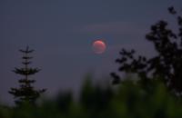 images/nature/bev_nature_02.jpg