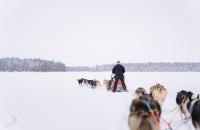 images/nature/bev_nature_03.jpg