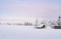 images/nature/bev_nature_04.jpg