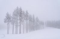 images/nature/bev_nature_05.jpg